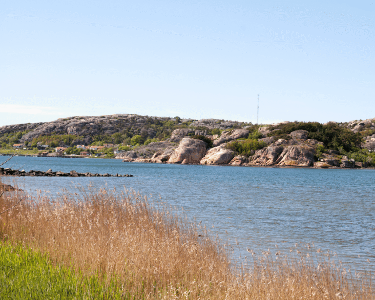 Närområde med kust, hav, berg och vass
