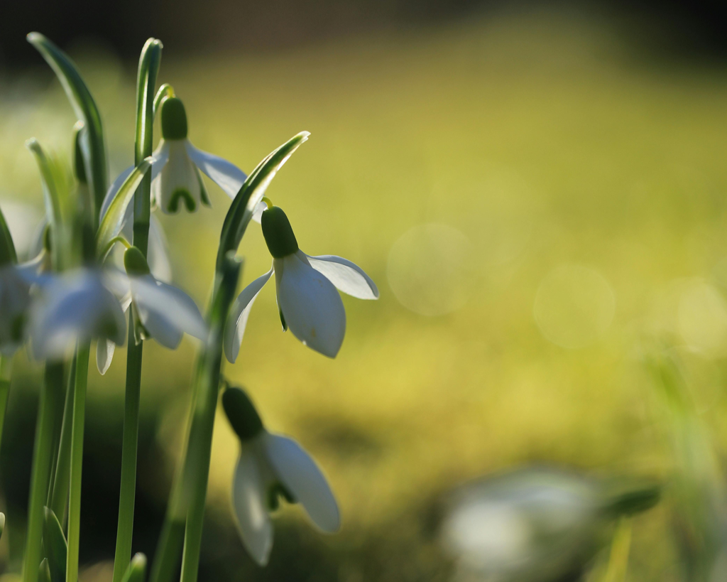 lediga platser i april