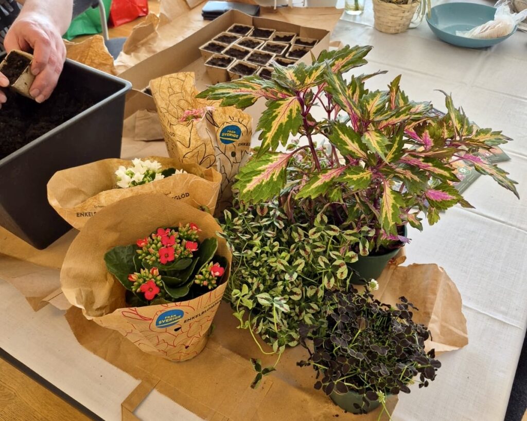 HVB steg 2 veckosammanfattning