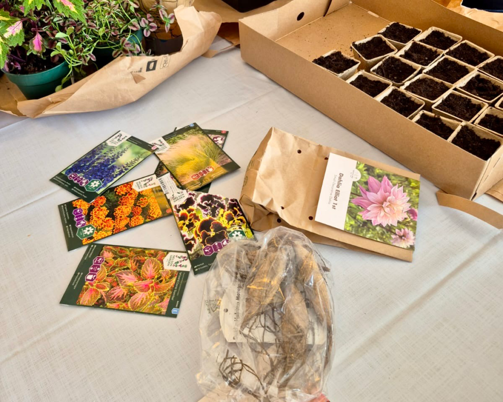 HVB steg 2 veckosammanfattning