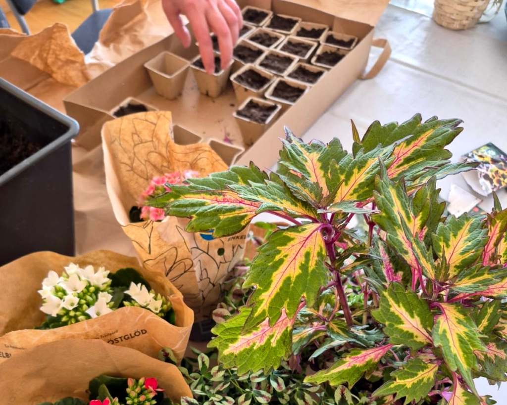 HVB steg 2 veckosammanfattning