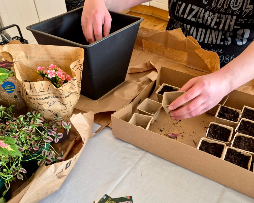 HVB steg 2 veckosammanfattning