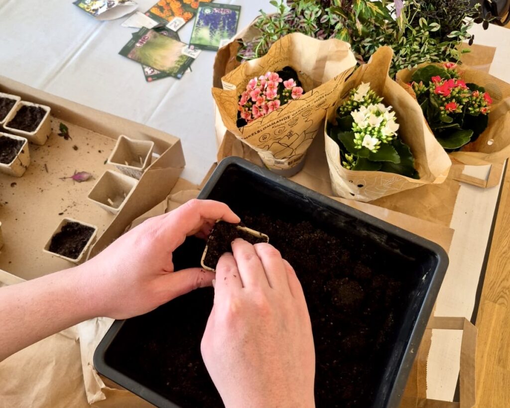 Vårkänslor i Surte – plantering och gemenskap