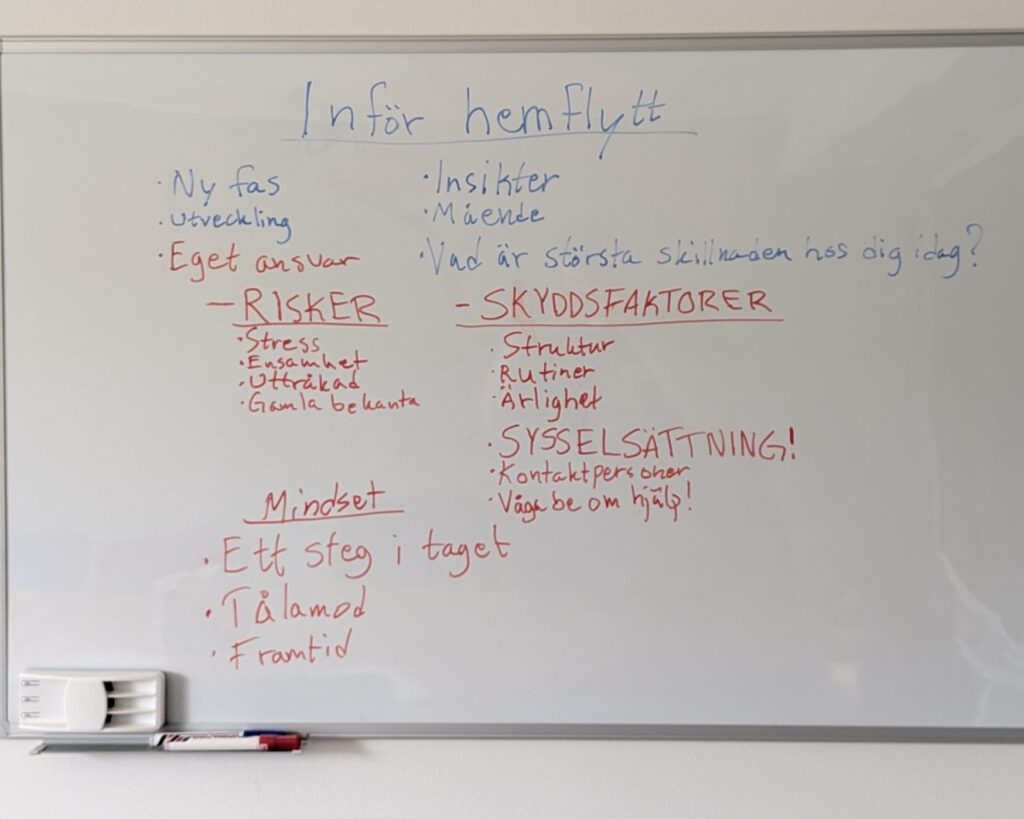 Tema-dag whiteboard