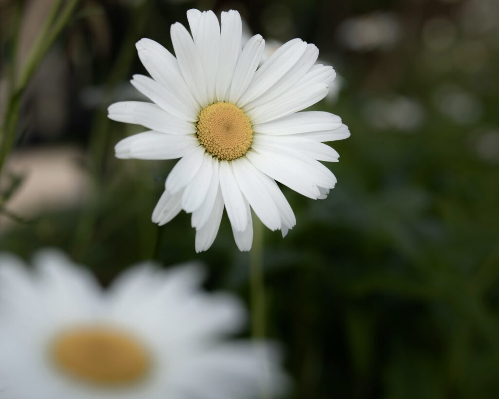 Glad midsommar från oss på Nya Tag